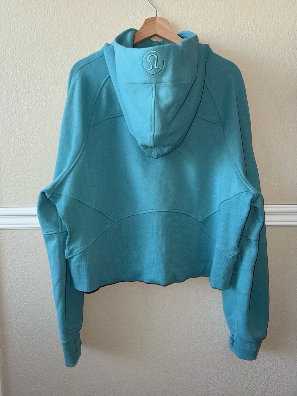 Lululemon Scuba Oversized Half Zip Hoodie Teal Blue Size XL / XXL